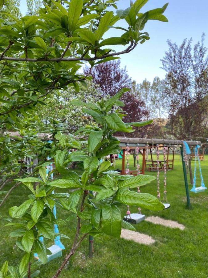 Abant Yesil Vadi Koc Pansiyon Dereceören Eksteriør bilde